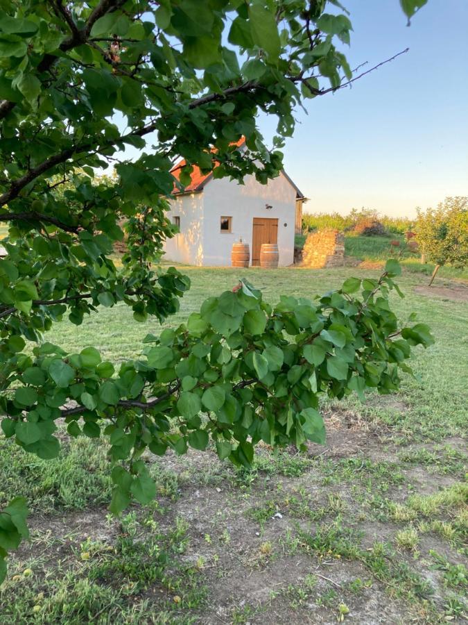 Ubytování Šmudla Znojmo Exterior foto