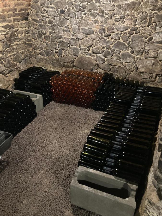Ubytování Šmudla Znojmo Exterior foto
