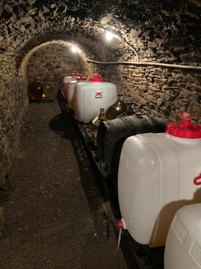 Ubytování Šmudla Znojmo Exterior foto